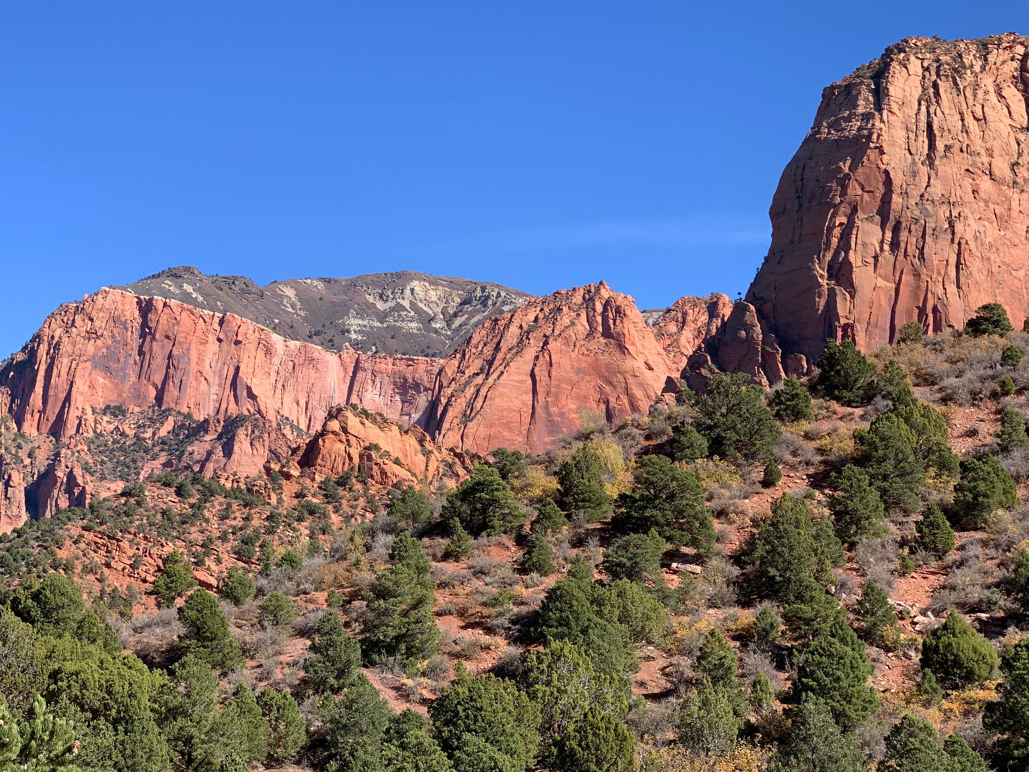 Zion NP